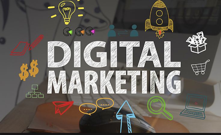 Exploring SEO Companies and Their Role in Digital Marketing