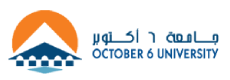 6 October University